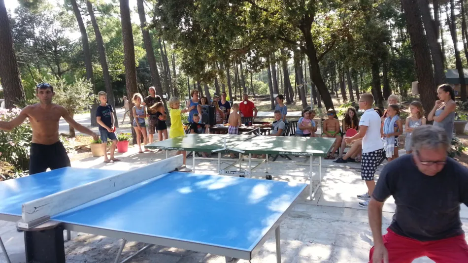 Camping La Simioune Vaucluse et Drome Provencale