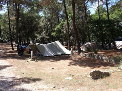 Camping pitch (package 1 person + 1 vehicle), 10A electricity included — 8
