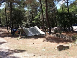 Kampeerplaats(en) - Standplaats 1 Person Met Elektriciteit Inbegrepen - Camping La Simioune en Provence