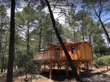 Mietunterkunft - Cottage Robinson  - 2 Schlafzimmer (2 Erwachsene + 2 Kinder) - Camping La Simioune Vaucluse et Drome Provencale