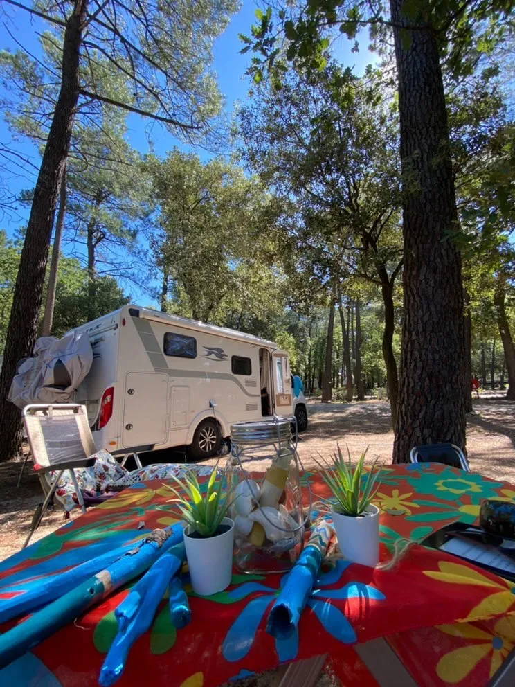 Emplacement (Forfait 2 Personnes + 1 Tente Ou Caravane Ou Camping-Car) Et Électricité Inclus