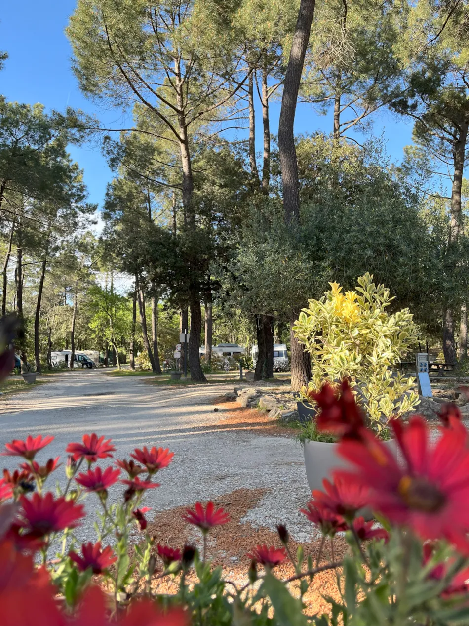 Camping La Simioune Vaucluse et Drome Provencale