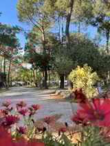 Foto #2 van Camping La Simioune en Provence