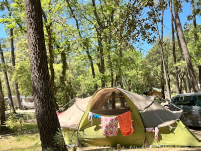 Camping pitch (package 1 person + 1 vehicle), 10A electricity included — 7
