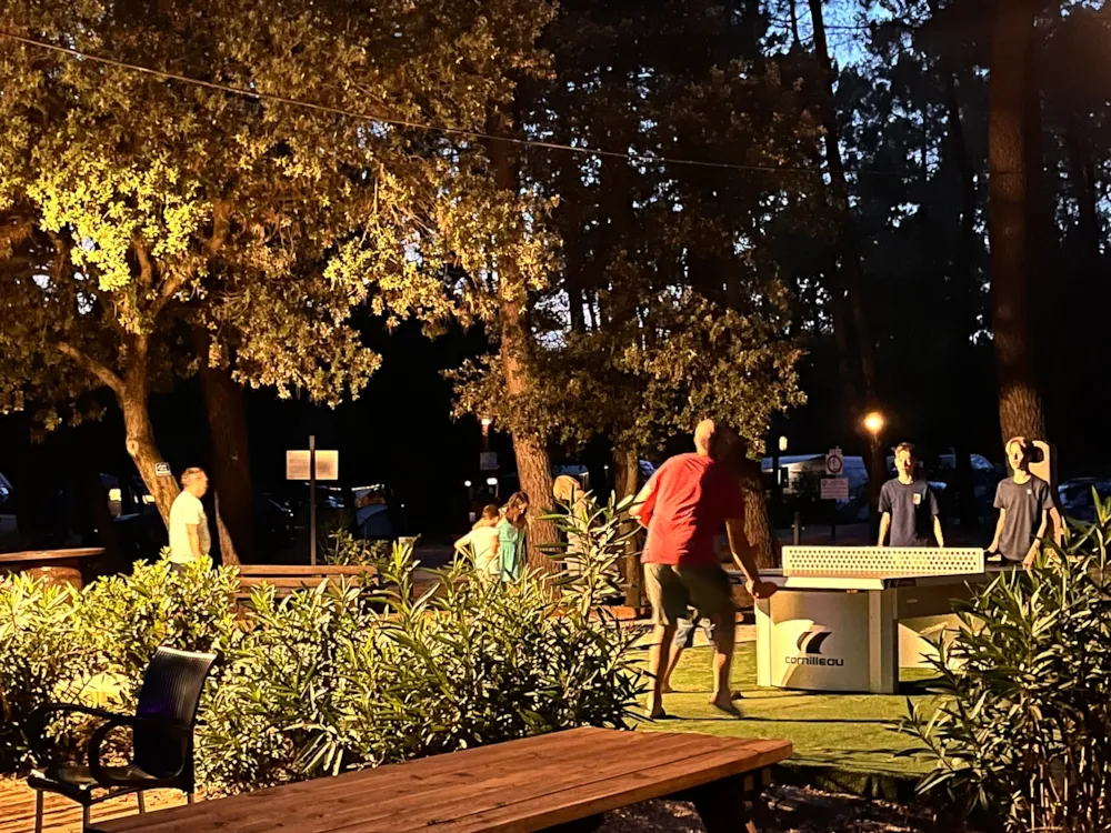 Camping La Simioune Vaucluse et Drome Provencale