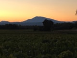 Foto #49 van Camping La Simioune Vaucluse et Drome Provencale