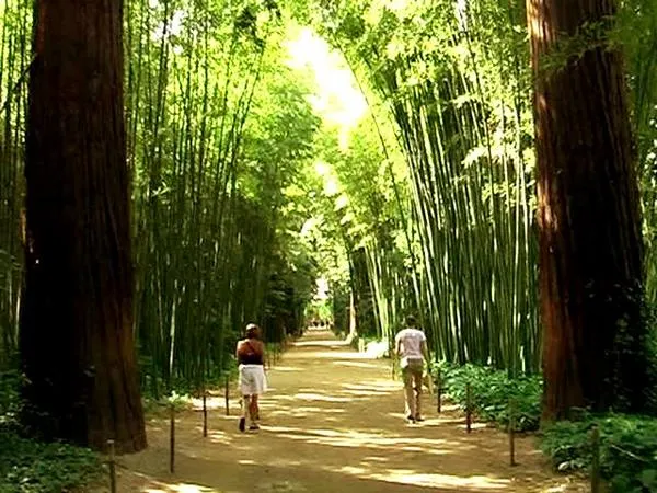 Camping La Simioune Vaucluse et Drome Provencale