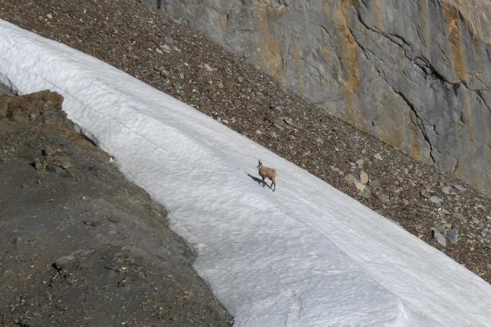 CAMPING LA ROCHETTE - image n°34 - UniversalBooking