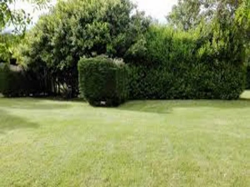 Emplacement Nature (Sans Électricité)