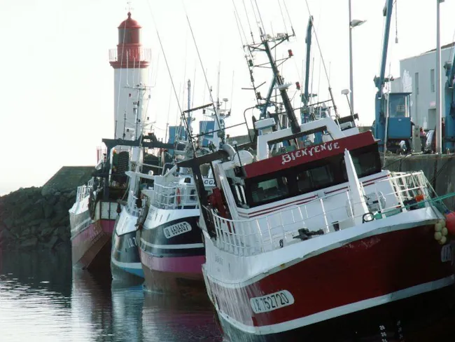 Camping le Sous Bois - image n°4 - Camping Direct