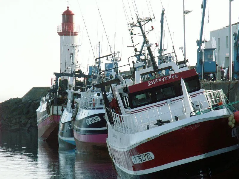 Camping le Sous Bois - Locations