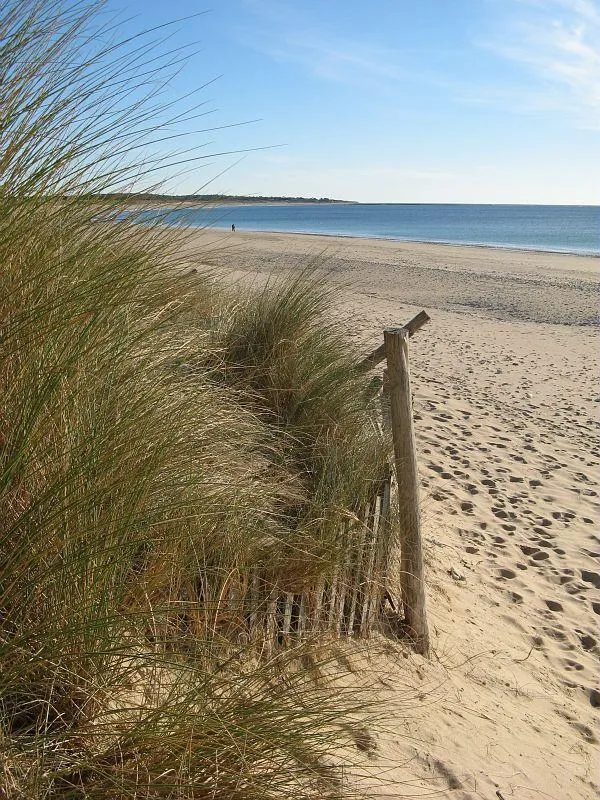 Camping le Sous Bois