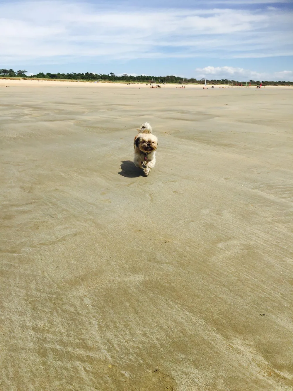 Camping le Sous Bois