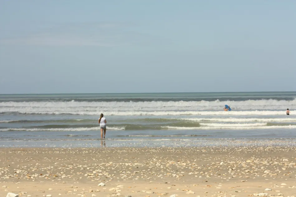 Camping le Sous Bois - Locations