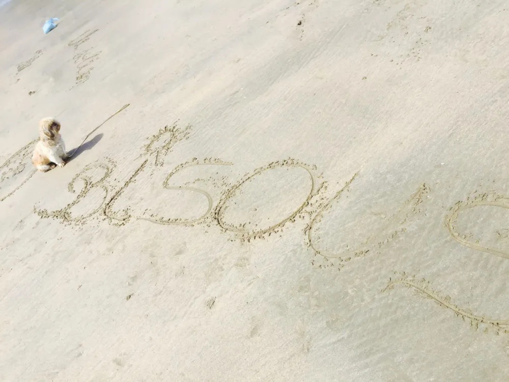 Camping le Sous Bois