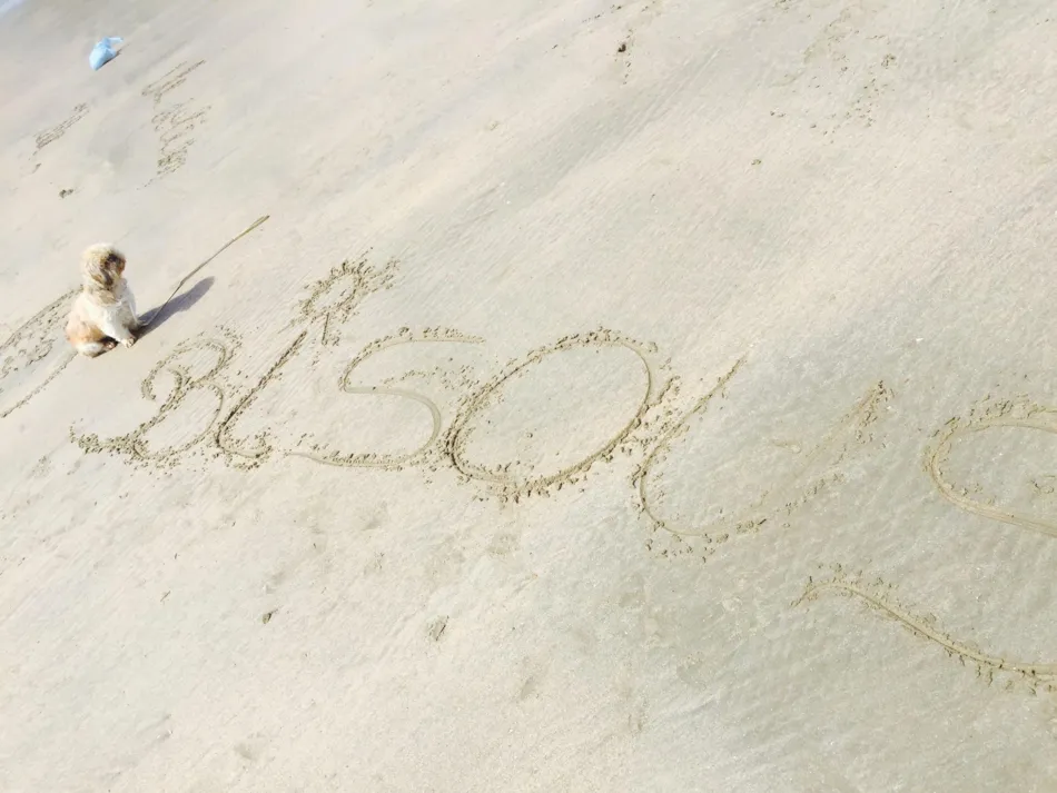 Camping le Sous Bois - Locations