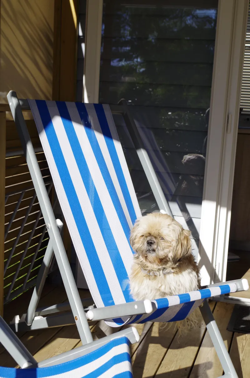 Mobil-Home Atlantique Avec Jacuzzi