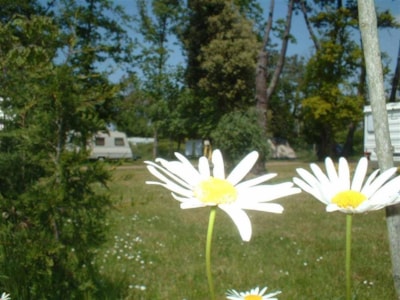 Pitch 80m2 — 5