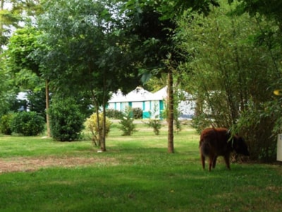 Pitch 80m2 — 2