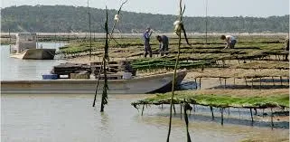 Camping le Sous Bois - Locations