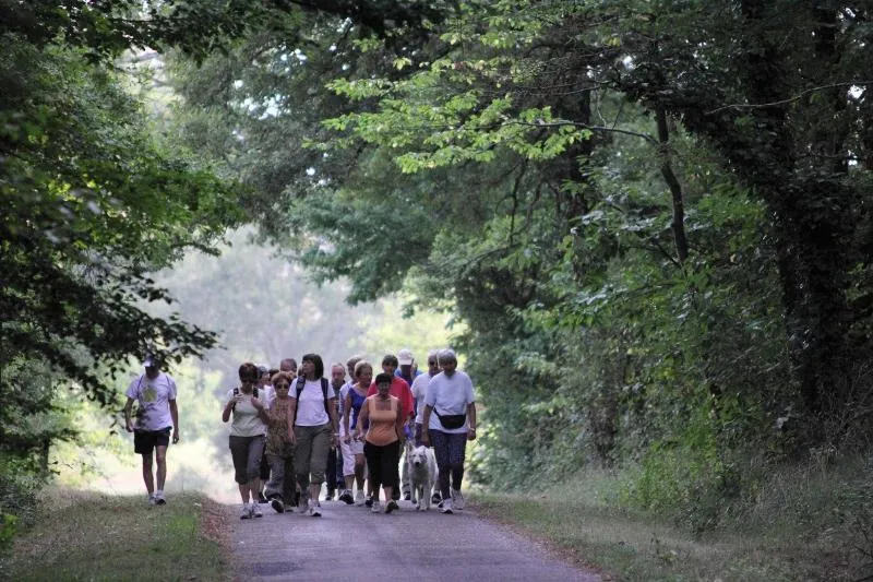 Camping LA CIGALINE