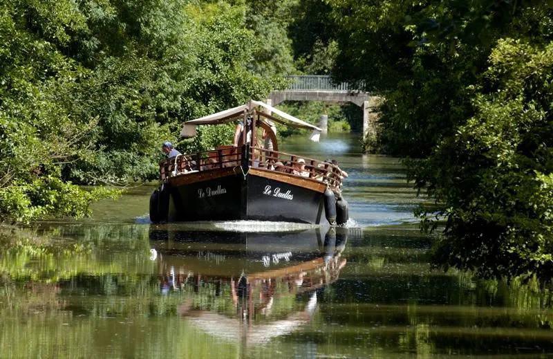 Camping LA CIGALINE