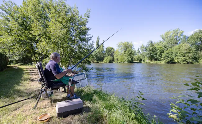 Camping LA CIGALINE - image n°4 - Camping Direct