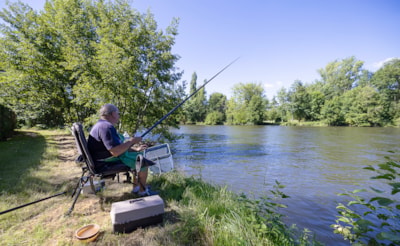 Camping LA CIGALINE