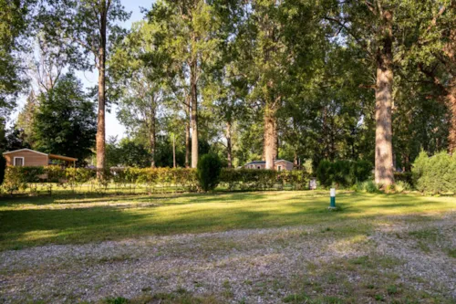 Pitch - Caravanning Pitch (Including 2 People, 1 Car And Electricity 6A) Arrival 4 P.M. Departure 12 P.M. - image n°2 - Camping Bois & Toilés