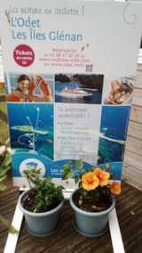 Foto #51 van Camping Penhoat Côté Plage