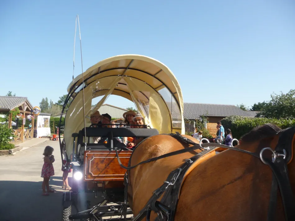 Camping Penhoat Côté Plage
