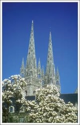 Foto #61 van Camping Penhoat Côté Plage