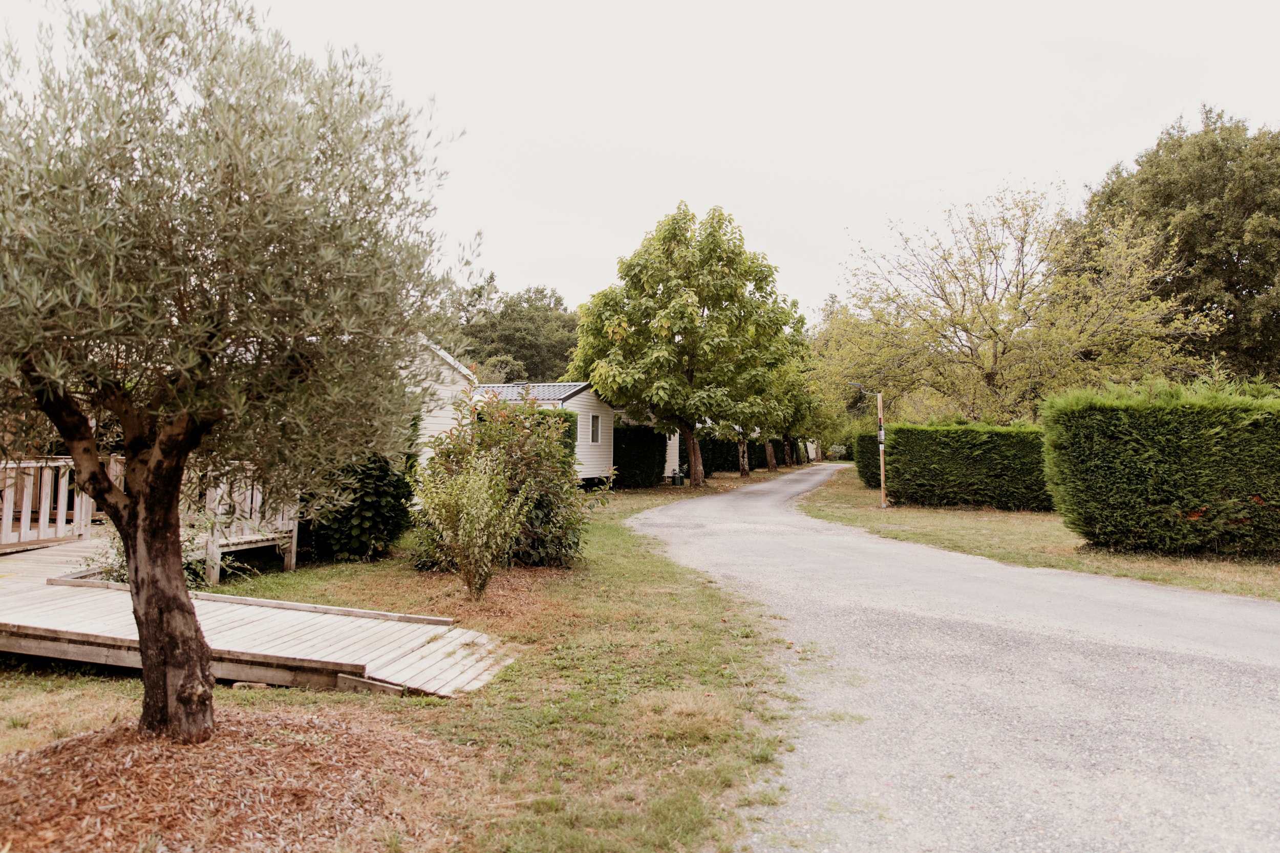 Camping Le Paradis — Photo 4