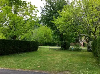Pitch - Pitch Privilege 4 Bunches: Car + Caravan Or Camper Van 2/6 Pers - Camping Le Paradis