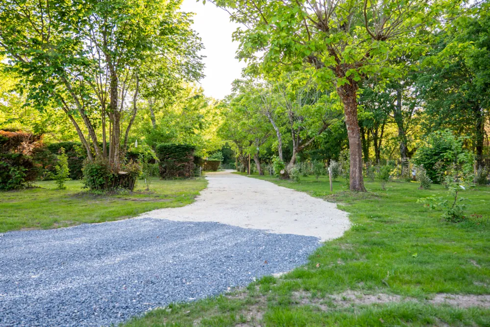 Emplacement - Emplacement Confort 2 Grappes: Voiture + Tente/Caravane Ou Camping-Car - Camping Le Paradis