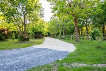 Stellplatz - Standardstellplatz Confort 2 Cluster: Auto + Zelt/Wohnwagen Oder Wohnmobil - Camping Le Paradis