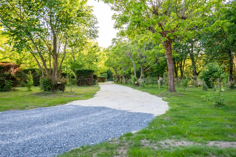 Emplacement Confort 2 Grappes: Voiture + Tente/Caravane Ou Camping-Car