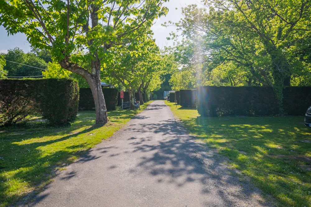 Emplacement - Emplacement Privilège 4 Grappes: Voiture + Caravane Ou Camping-Car - Camping Le Paradis