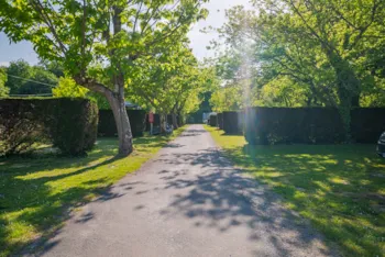 Stellplatz - Stellplatz Privilege 4 Grappes: Auto + Wohnwagen Oder Wohnmobil 2/6 Pers. - Camping Le Paradis