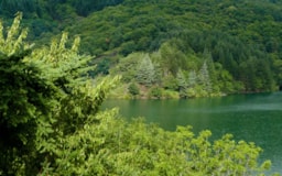 Camping Lac de Villefort - image n°15 - Roulottes