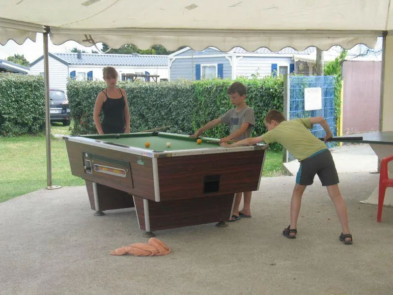 Flower Camping La Pointe du Talud