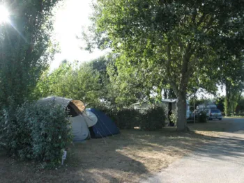 Emplacement - Forfait Nature (1 Tente, Caravane Ou Camping-Car / 1 Voiture) - Flower Camping La Pointe du Talud