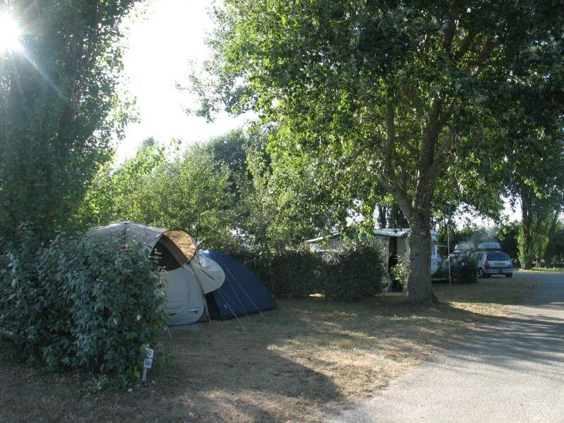 Stellplatz - Stellplatz Pauschale Wanderer Oder Radfahrer Mit Zelt Ohne Strom - Flower Camping La Pointe du Talud