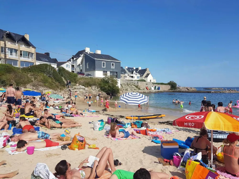 Flower Camping La Pointe du Talud