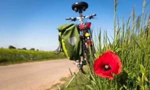 Night for hikers 1 person rate with electricity (by bicycle or on foot, without motor vehicle) — 2