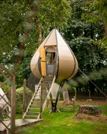 Mietunterkunft - Hütte La Goutte D'ô - Camping Entre Terre et Mer
