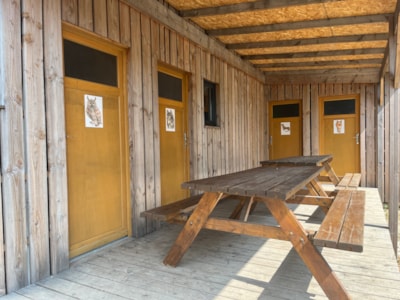 Bed in dormitories