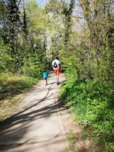 Foto #45 van La Forêt Stella-Plage