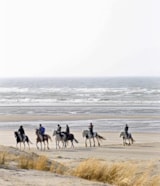 Foto #41 van La Forêt Stella-Plage