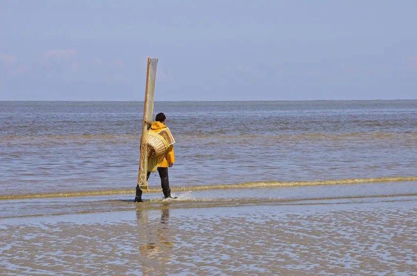 La Forêt Stella-Plage